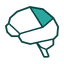 brain icon