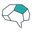 brain icon